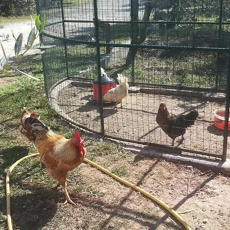 Specchiarussa Alojamento de Turismo Rural Morciano di Leuca