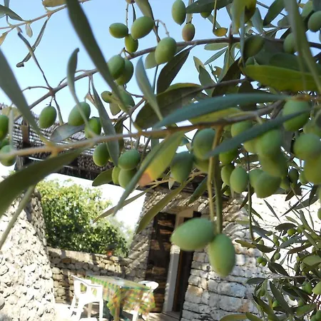 Specchiarussa Agroturismo *