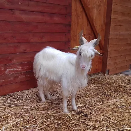 Specchiarussa * Morciano di Leuca