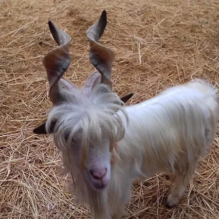 Agroturismo Specchiarussa *