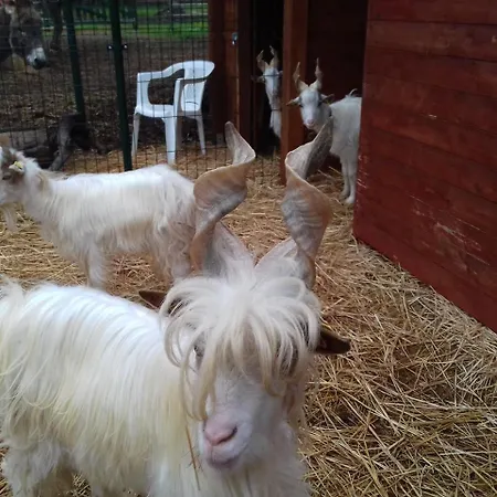 Specchiarussa Agroturismo *