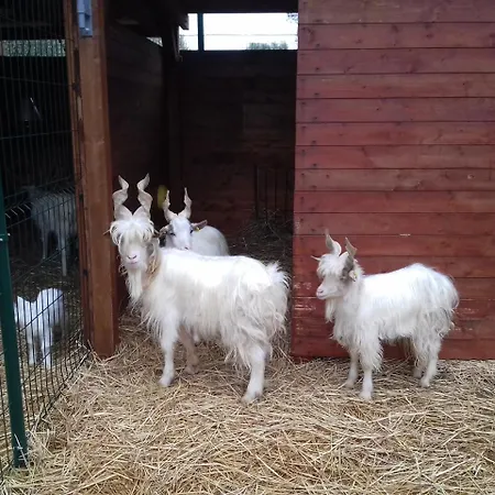 Specchiarussa Morciano di Leuca